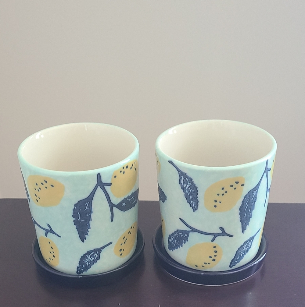 2 Pavo Planter | Patterned Ceramic Planter - Picture 7 of 10